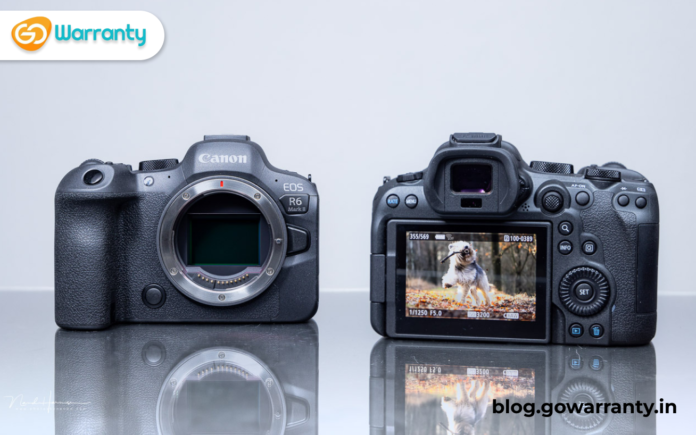 Canon EOS R8 vs R6 mark II: Comparison - GoWarranty Tech