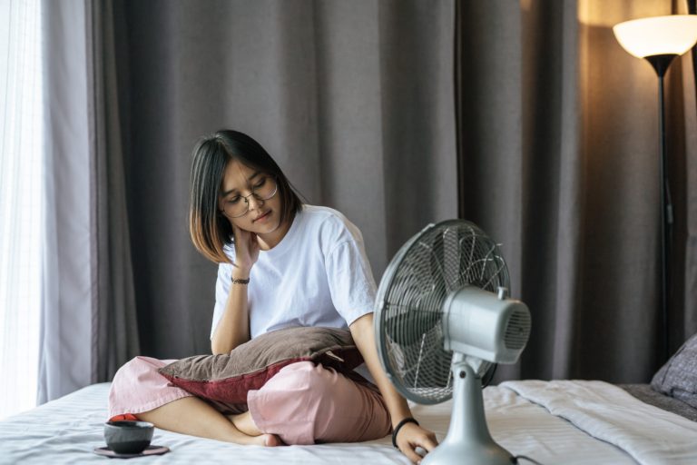 Exploring India’s Top 5 Electric Fan Companies